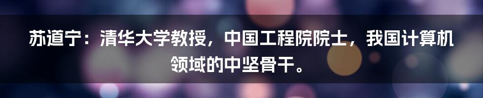 苏道宁：清华大学教授，中国工程院院士，我国计算机领域的中坚骨干。