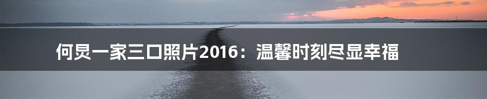 何炅一家三口照片2016：温馨时刻尽显幸福