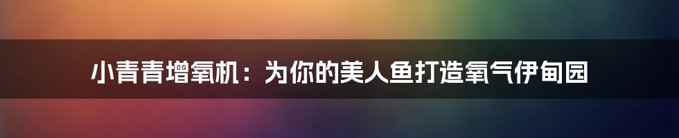 小青青增氧机：为你的美人鱼打造氧气伊甸园