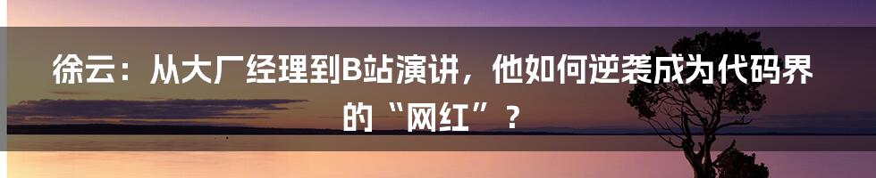 徐云：从大厂经理到B站演讲，他如何逆袭成为代码界的“网红”？