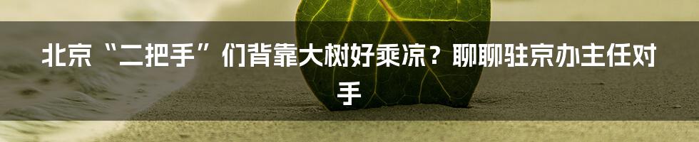 北京“二把手”们背靠大树好乘凉？聊聊驻京办主任对手