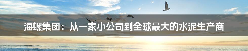 海螺集团：从一家小公司到全球最大的水泥生产商