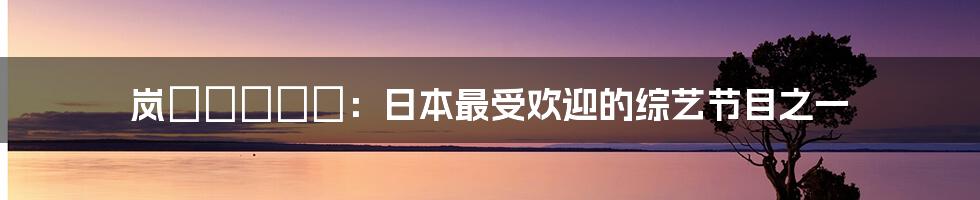 岚にしやがれ：日本最受欢迎的综艺节目之一