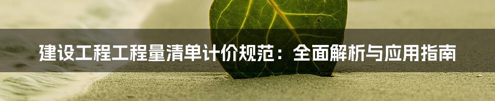 建设工程工程量清单计价规范：全面解析与应用指南