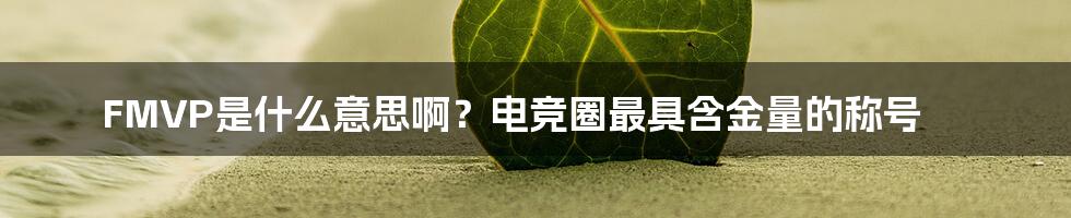 FMVP是什么意思啊？电竞圈最具含金量的称号