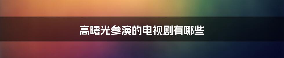 高曙光参演的电视剧有哪些