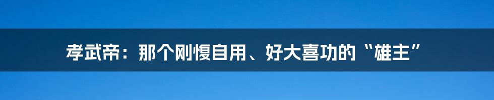 孝武帝：那个刚愎自用、好大喜功的“雄主”