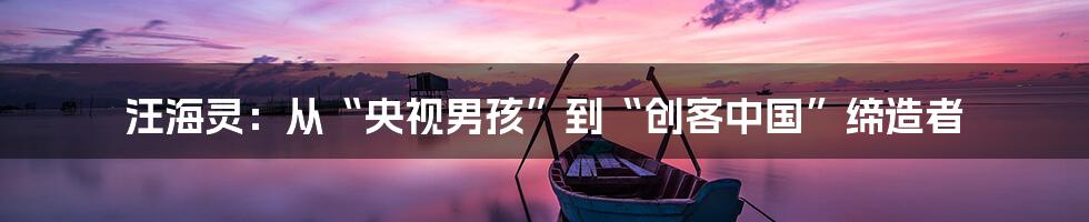 汪海灵：从“央视男孩”到“创客中国”缔造者