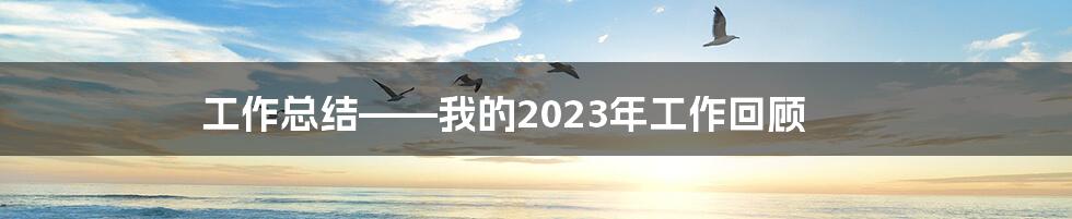 工作总结——我的2023年工作回顾