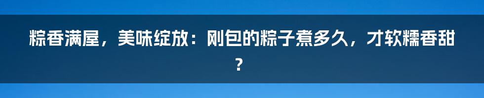 粽香满屋，美味绽放：刚包的粽子煮多久，才软糯香甜？