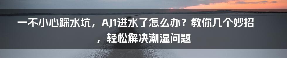 一不小心踩水坑，AJ1进水了怎么办？教你几个妙招，轻松解决潮湿问题