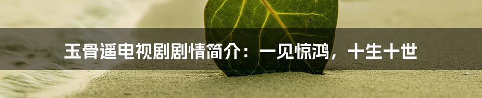 玉骨遥电视剧剧情简介：一见惊鸿，十生十世