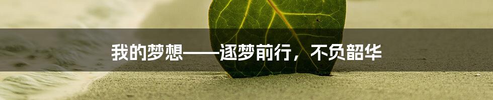 我的梦想——逐梦前行，不负韶华