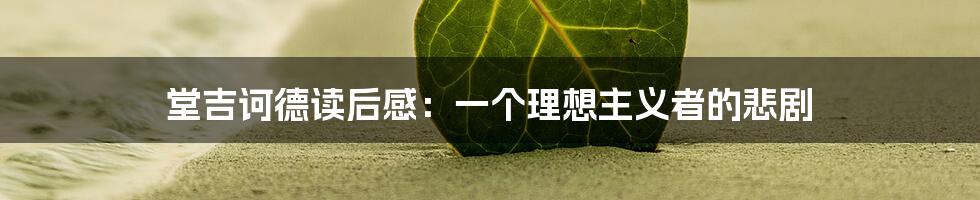 堂吉诃德读后感：一个理想主义者的悲剧