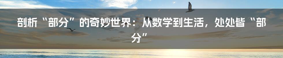 剖析“部分”的奇妙世界：从数学到生活，处处皆“部分”