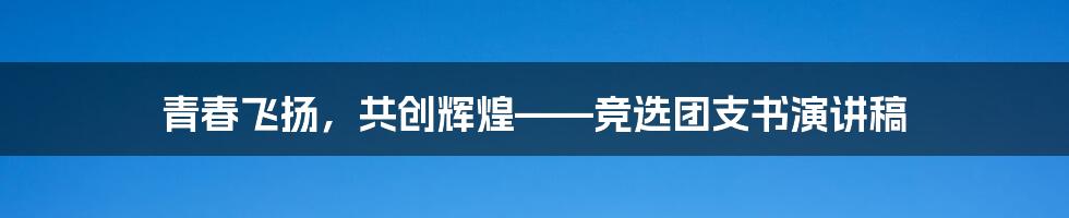 青春飞扬，共创辉煌——竞选团支书演讲稿