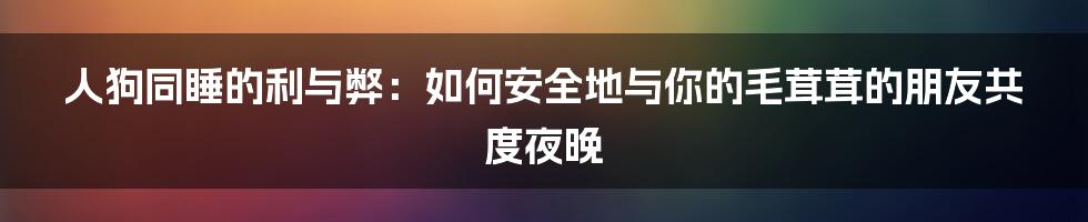 人狗同睡的利与弊：如何安全地与你的毛茸茸的朋友共度夜晚