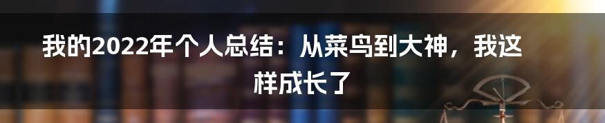 我的2022年个人总结：从菜鸟到大神，我这样成长了