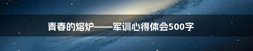 青春的熔炉——军训心得体会500字