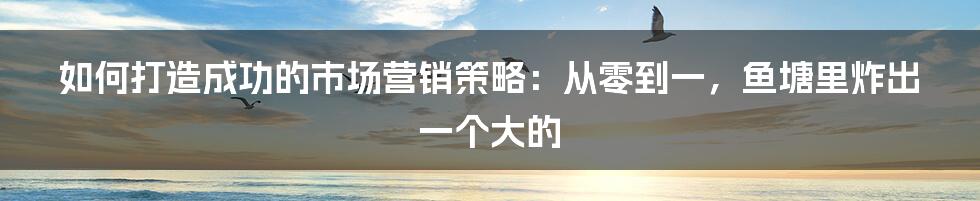 如何打造成功的市场营销策略：从零到一，鱼塘里炸出一个大的