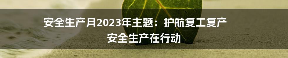 安全生产月2023年主题：护航复工复产 安全生产在行动