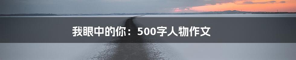 我眼中的你：500字人物作文