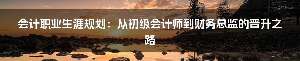 会计职业生涯规划：从初级会计师到财务总监的晋升之路