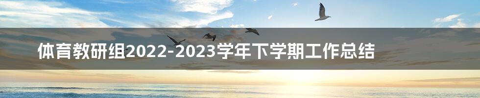 体育教研组2022-2023学年下学期工作总结