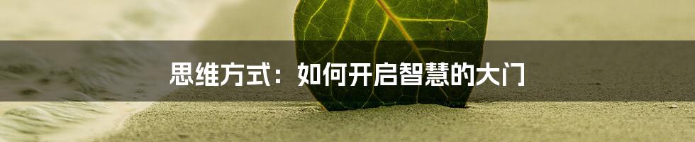 思维方式：如何开启智慧的大门