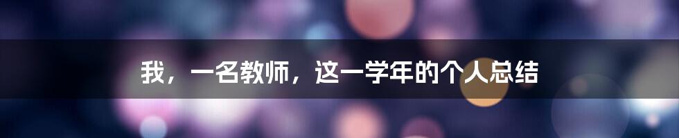 我，一名教师，这一学年的个人总结