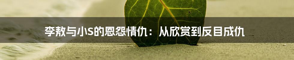 李敖与小S的恩怨情仇：从欣赏到反目成仇