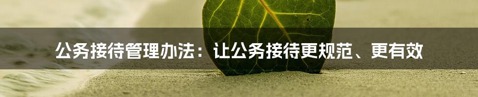 公务接待管理办法：让公务接待更规范、更有效