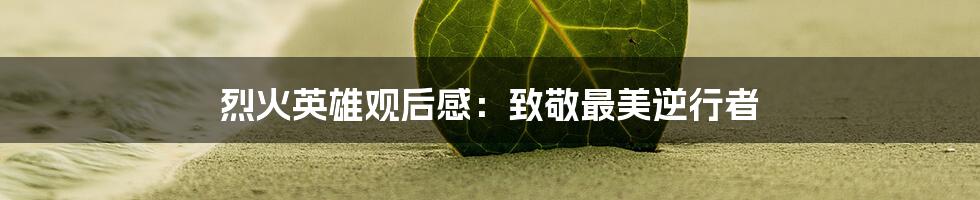 烈火英雄观后感：致敬最美逆行者