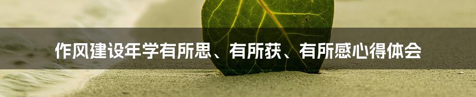 作风建设年学有所思、有所获、有所感心得体会