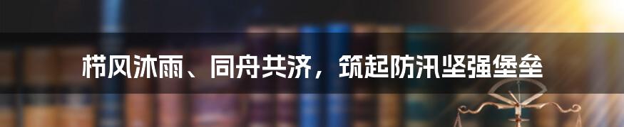 栉风沐雨、同舟共济，筑起防汛坚强堡垒