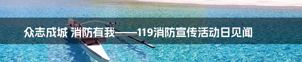 众志成城 消防有我——119消防宣传活动日见闻