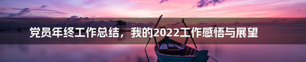 党员年终工作总结，我的2022工作感悟与展望