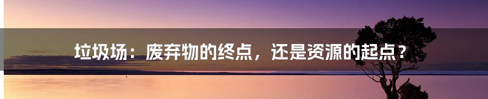 垃圾场：废弃物的终点，还是资源的起点？