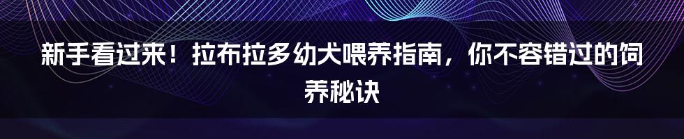 新手看过来！拉布拉多幼犬喂养指南，你不容错过的饲养秘诀