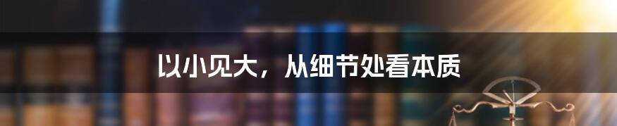 以小见大，从细节处看本质