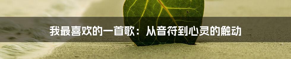 我最喜欢的一首歌：从音符到心灵的触动