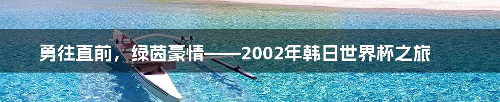 勇往直前，绿茵豪情——2002年韩日世界杯之旅