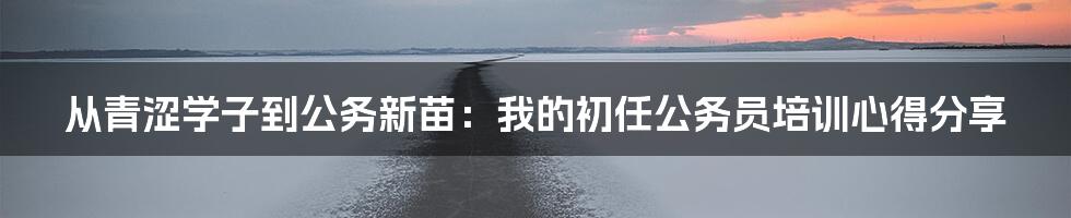 从青涩学子到公务新苗：我的初任公务员培训心得分享