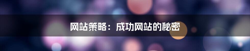 网站策略：成功网站的秘密