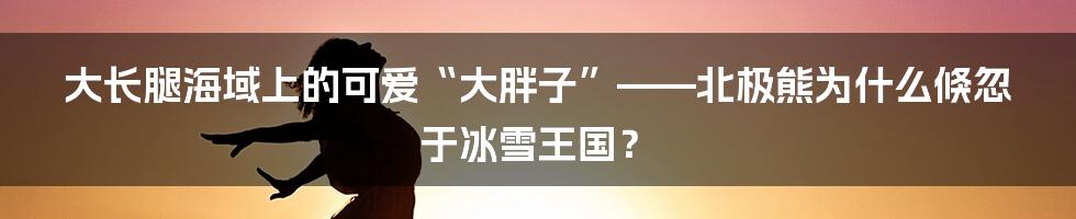 大长腿海域上的可爱“大胖子”——北极熊为什么倏忽于冰雪王国？