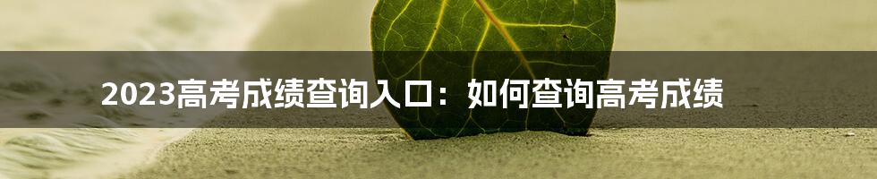 2023高考成绩查询入口：如何查询高考成绩