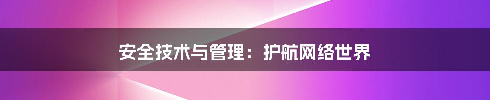 安全技术与管理：护航网络世界