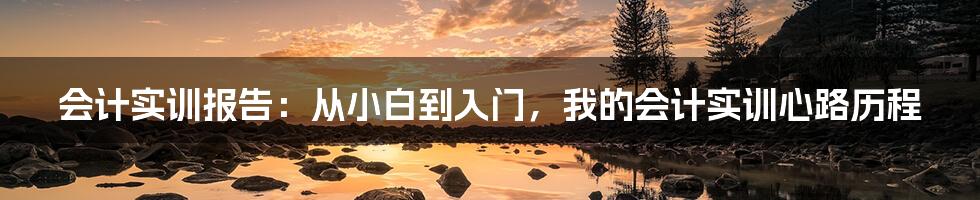 会计实训报告：从小白到入门，我的会计实训心路历程