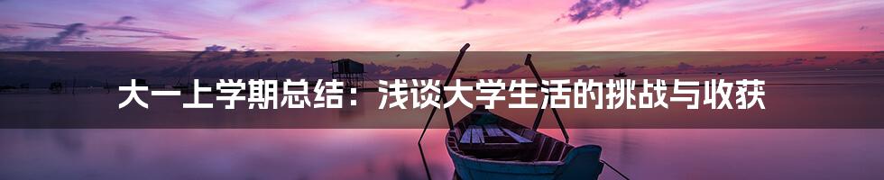 大一上学期总结：浅谈大学生活的挑战与收获