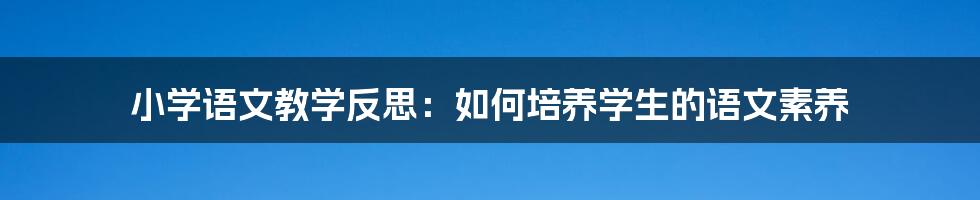 小学语文教学反思：如何培养学生的语文素养